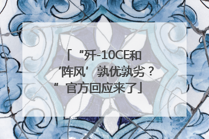 “歼-10CE和‘阵风’孰优孰劣？”官方回应来了