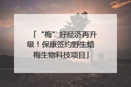 “梅”好经济再升级！保康签约野生蜡梅生物科技项目