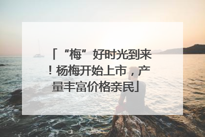 “梅”好时光到来！杨梅开始上市，产量丰富价格亲民