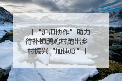 “沪滇协作”助力待补镇鹧鸡村跑出乡村振兴“加速度”