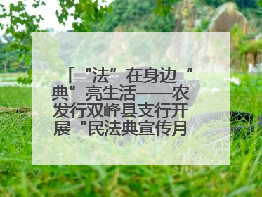 “法”在身边“典”亮生活——农发行双峰县支行开展“民法典宣传月”活动