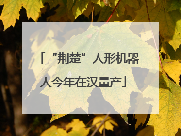 “荆楚”人形机器人今年在汉量产