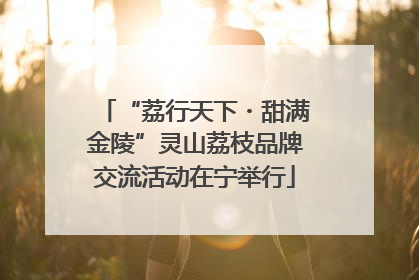 “荔行天下・甜满金陵”灵山荔枝品牌交流活动在宁举行