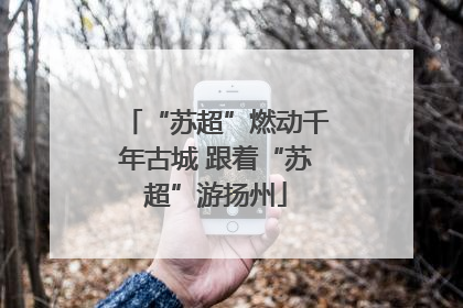 “苏超”燃动千年古城 跟着“苏超”游扬州