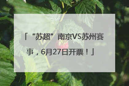 “苏超”南京VS苏州赛事，6月27日开票！