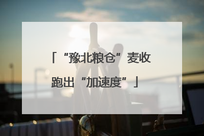 “豫北粮仓”麦收跑出“加速度”