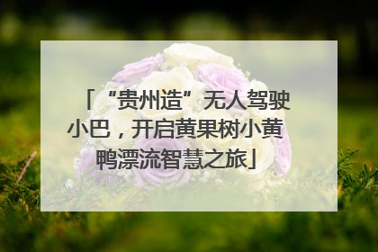 “贵州造”无人驾驶小巴，开启黄果树小黄鸭漂流智慧之旅