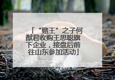 “赌王”之子何猷君收购王思聪旗下企业，接盘后前往山东参加活动