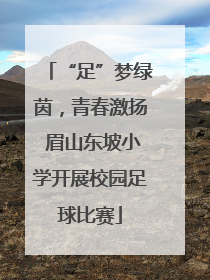 “足”梦绿茵，青春激扬 眉山东坡小学开展校园足球比赛