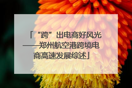 “跨”出电商好风光——郑州航空港跨境电商高速发展综述