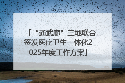 “通武廊”三地联合签发医疗卫生一体化2025年度工作方案