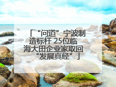 “问道”宁波制造标杆 25位临海大田企业家取回“发展真经”