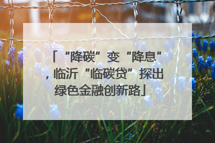 “降碳”变“降息”，临沂“临碳贷”探出绿色金融创新路