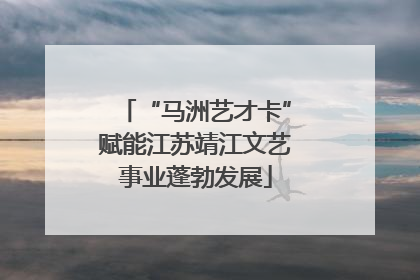 “马洲艺才卡”赋能江苏靖江文艺事业蓬勃发展