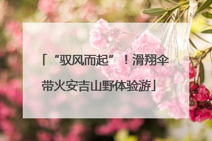 “驭风而起”！滑翔伞带火安吉山野体验游
