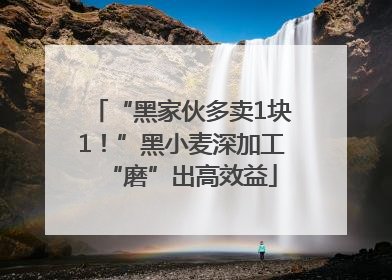 “黑家伙多卖1块1！”黑小麦深加工“磨”出高效益