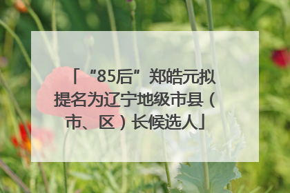 “85后”郑皓元拟提名为辽宁地级市县（市、区）长候选人