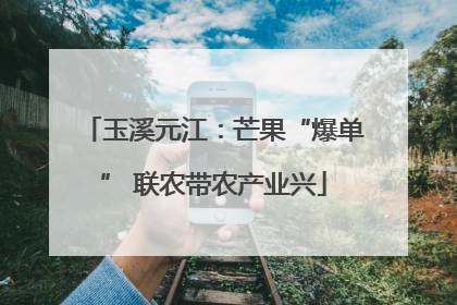 玉溪元江：芒果“爆单” 联农带农产业兴