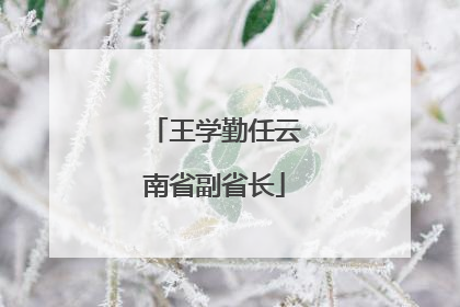 王学勤任云南省副省长