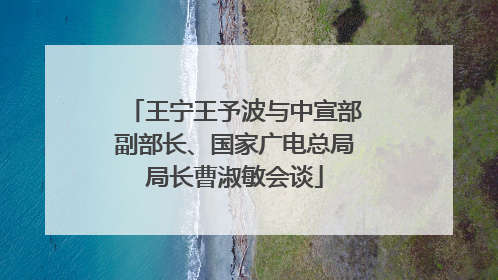 王宁王予波与中宣部副部长、国家广电总局局长曹淑敏会谈