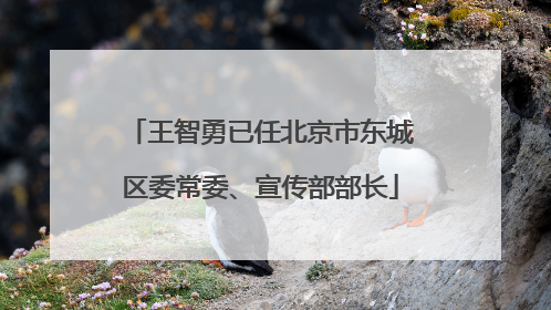 王智勇已任北京市东城区委常委、宣传部部长