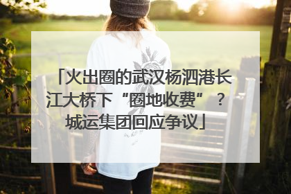 火出圈的武汉杨泗港长江大桥下“圈地收费”？城运集团回应争议