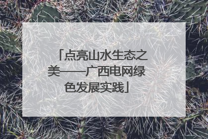 点亮山水生态之美——广西电网绿色发展实践