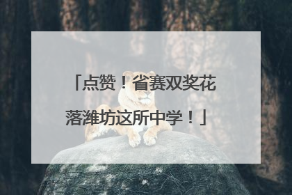 点赞！省赛双奖花落潍坊这所中学！