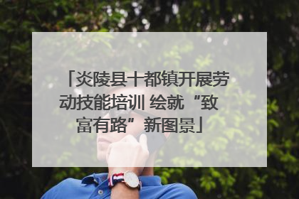 炎陵县十都镇开展劳动技能培训 绘就“致富有路”新图景