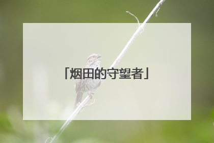 烟田的守望者