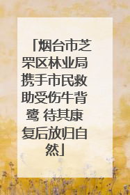 烟台市芝罘区林业局携手市民救助受伤牛背鹭 待其康复后放归自然