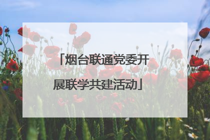 烟台联通党委开展联学共建活动