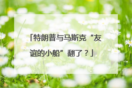 特朗普与马斯克“友谊的小船”翻了？