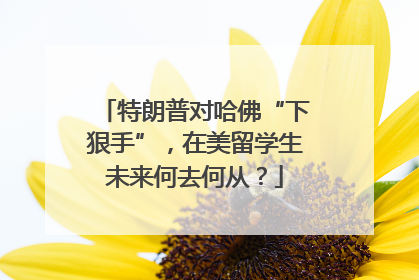 特朗普对哈佛“下狠手”，在美留学生未来何去何从？