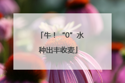 牛！“0”水种出丰收麦