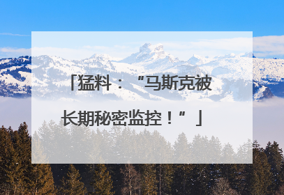 猛料:“马斯克被长期秘密监控!”