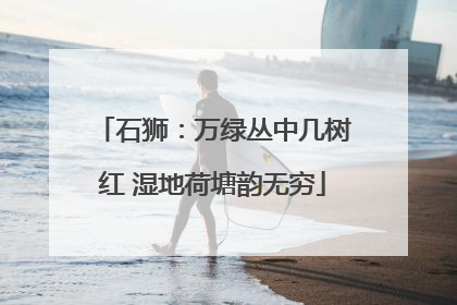 石狮：万绿丛中几树红 湿地荷塘韵无穷