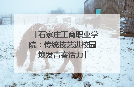 石家庄工商职业学院：传统技艺进校园焕发青春活力