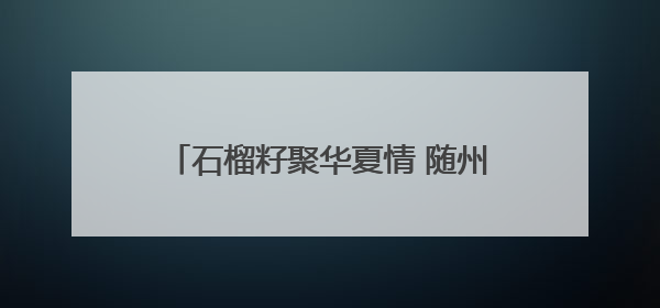 石榴籽聚华夏情 随州职院学子共绘团结卷