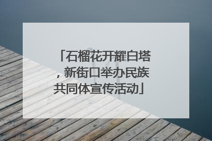 石榴花开耀白塔，新街口举办民族共同体宣传活动