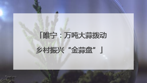 睢宁：万吨大蒜拨动乡村振兴“金蒜盘”