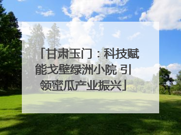 甘肃玉门：科技赋能戈壁绿洲小院 引领蜜瓜产业振兴