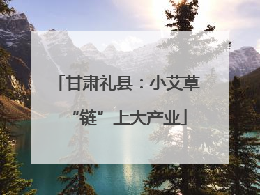 甘肃礼县：小艾草“链”上大产业