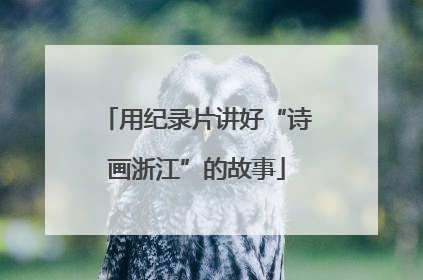 用纪录片讲好“诗画浙江”的故事