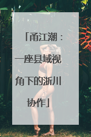 甬江潮：一座县域视角下的浙川协作