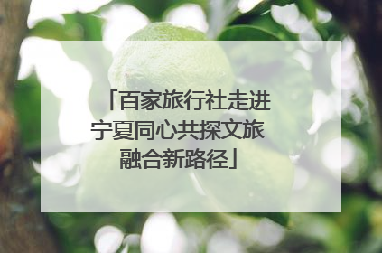 百家旅行社走进宁夏同心共探文旅融合新路径