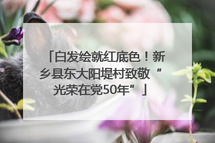 白发绘就红底色！新乡县东大阳堤村致敬“光荣在党50年”