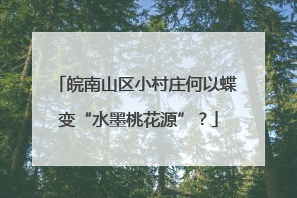 皖南山区小村庄何以蝶变“水墨桃花源”？