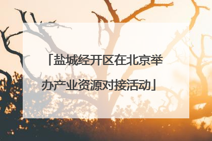 盐城经开区在北京举办产业资源对接活动