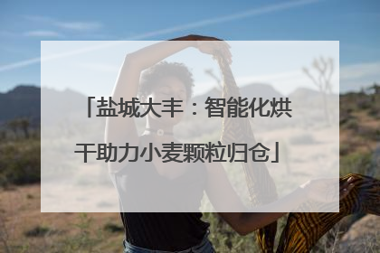 盐城大丰：智能化烘干助力小麦颗粒归仓